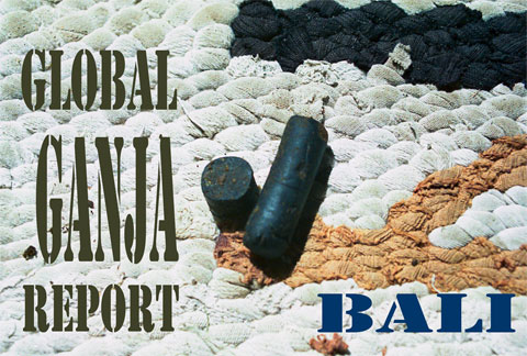 Cannabis Market Reports - Bali