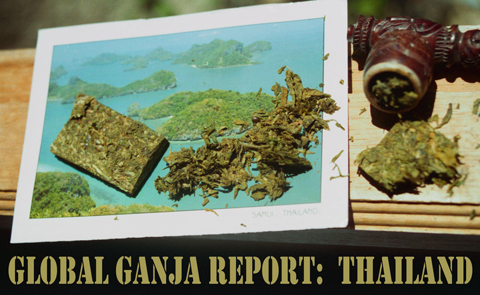 Cannabis market Reports - Thailand