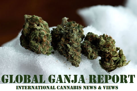 Cannabis market Reports - CMR HOME PAGE