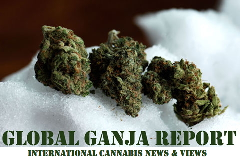 Cannabis Market Reports - CMR HOME PAGE