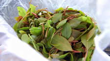 khat