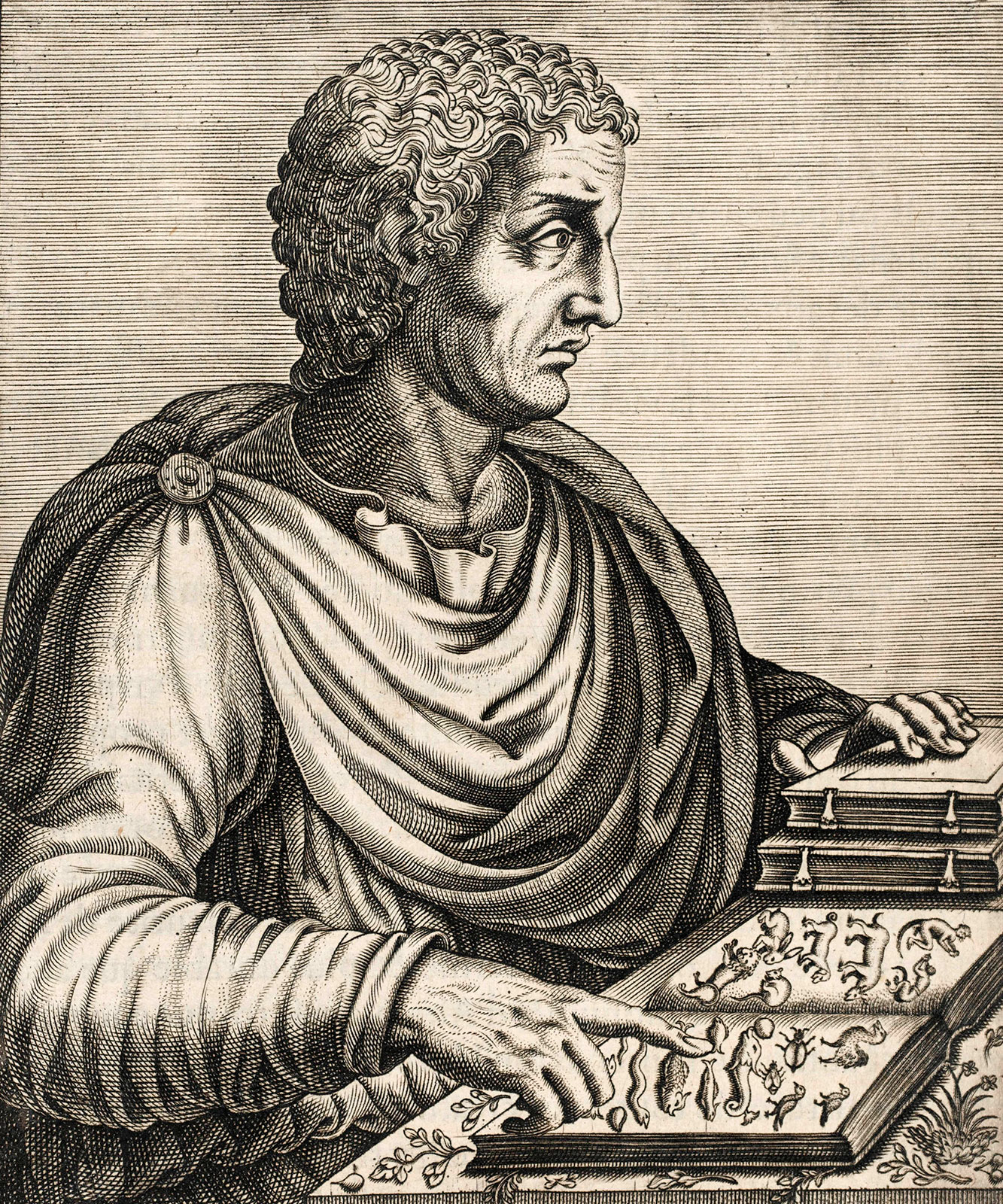 Pliny